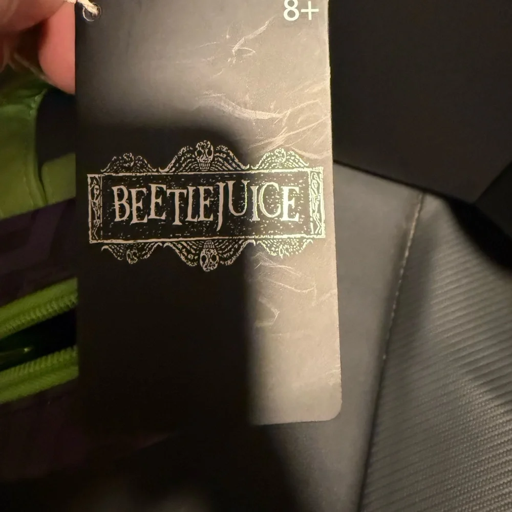 Loungefly Beetlejuice Pencil Case - Purple and Green